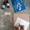Cyanotype Postcard Printing Kit - Image 4